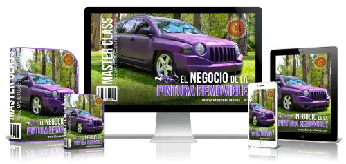 EL NEGOCIO DE LA PINTURA REMOVIBLE